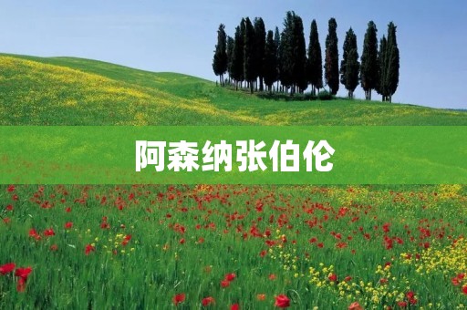 阿森纳张伯伦：从潜力股到伤病困扰