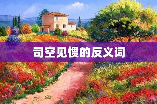 司空见惯的反义词：独特、罕见、别致
