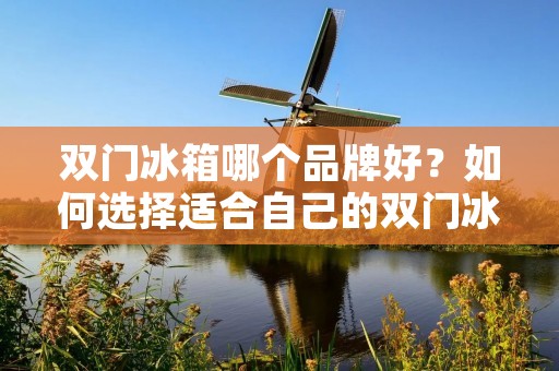 双门冰箱哪个品牌好？如何选择适合自己的双门冰箱？