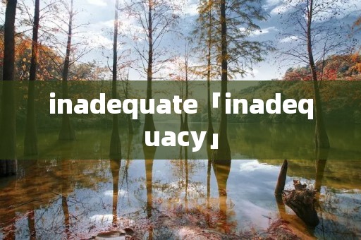 inadequate「inadequacy」