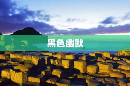 黑色幽默:探讨生死与人性的一种方式 黑色幽默:探讨生死与人性的一种方式