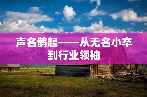 声名鹊起——从无名小卒到行业领袖