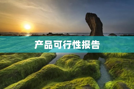 产品可行性报告:基于市场需求的分析和评估