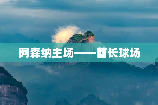 阿森纳主场——酋长球场 阿森纳主场——酋长球场