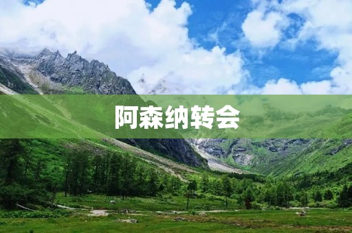 阿森纳转会:一场引援大战的背后故事 阿森纳转会:一场引援大战的背后故事