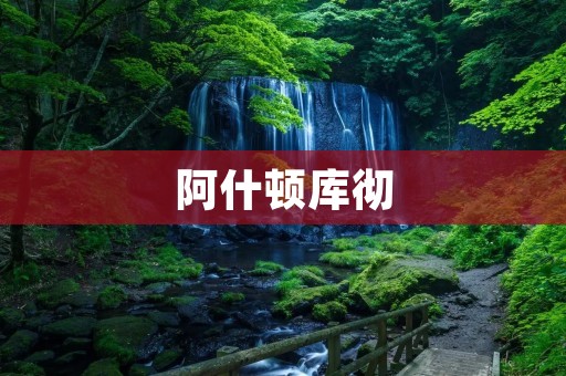阿什顿库彻：打造全球最优秀的高等教育机构