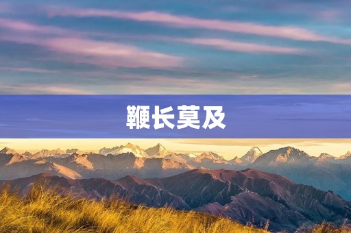 鞭长莫及：面对无法改变的现实，我们该怎么办？