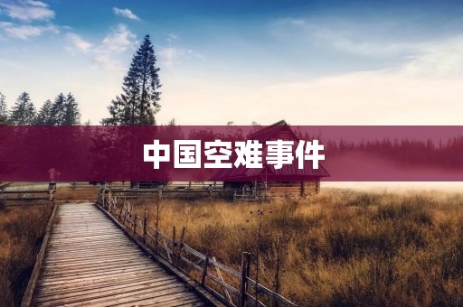 中国空难事件：一场人间惨剧
