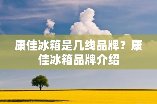 康佳冰箱是几线品牌？康佳冰箱品牌介绍