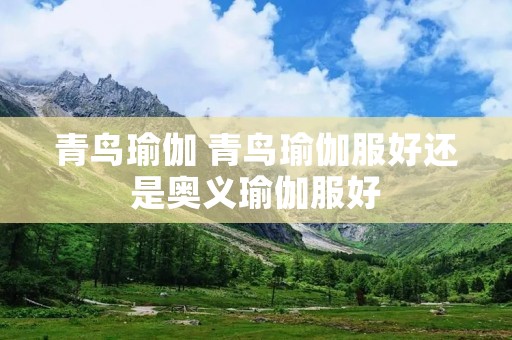 青鸟瑜伽 青鸟瑜伽服好还是奥义瑜伽服好