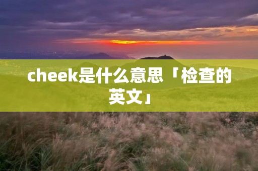 cheek是什么意思「检查的英文」