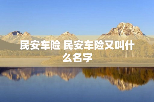 民安车险 民安车险又叫什么名字