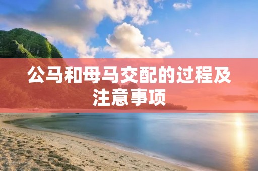 公马和母马交配的过程及注意事项