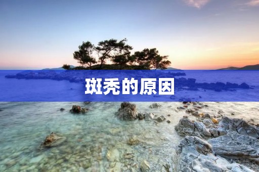 斑秃的原因:从遗传到环境,多种因素导致 斑秃的原因:从遗传到环境,多种因素导致