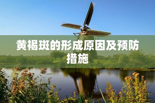 黄褐斑的形成原因及预防措施 黄褐斑的形成原因及预防措施