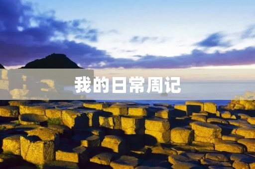 我的日常周记