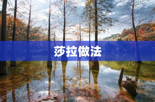 莎拉做法:让你轻松成为厨房达人 莎拉做法:让你轻松成为厨房达人