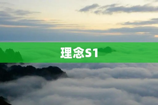 理念S1：注重细节，成就卓越