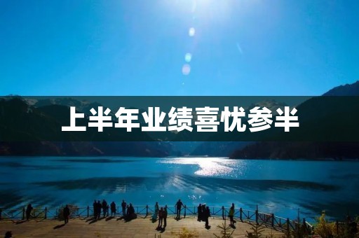上半年业绩喜忧参半:挑战与机遇并存