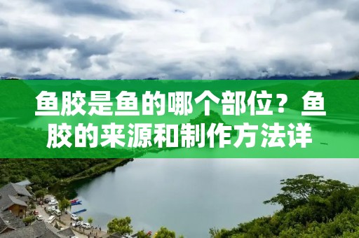 鱼胶是鱼的哪个部位?鱼胶的来源和制作方法详解 鱼胶是鱼的哪个部位?鱼胶的来源和制作方法详解