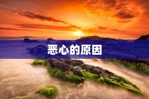 恶心的原因：从身体到心理，多方面因素影响