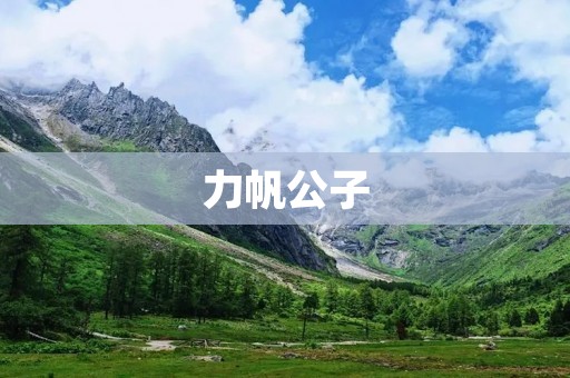 力帆公子:一款独具匠心的豪华车型 力帆公子:一款独具匠心的豪华车型