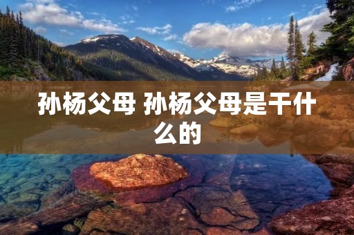 孙杨父母 孙杨父母是干什么的