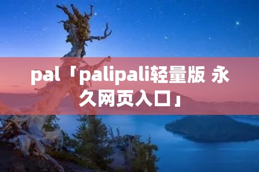 pal「palipali轻量版 永久网页入口」