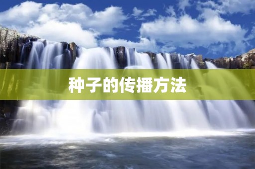 种子的传播方法:从自然到人工 种子的传播方法:从自然到人工
