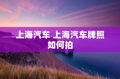 上海汽车 上海汽车牌照如何拍