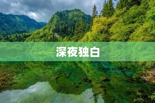 深夜独白:寂寞的夜晚 深夜独白:寂寞的夜晚