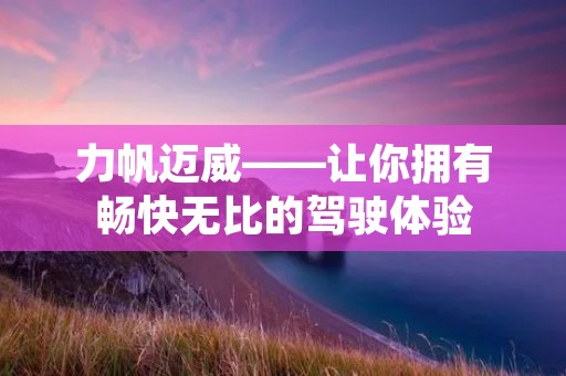 力帆迈威——让你拥有畅快无比的驾驶体验 力帆迈威——让你拥有畅快无比的驾驶体验