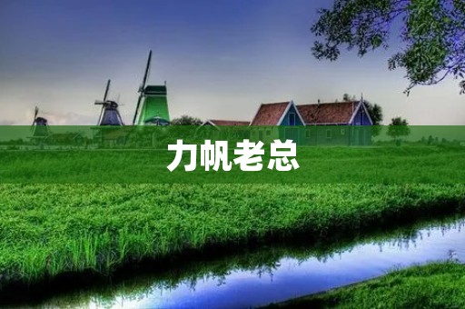 力帆老总:一个传奇人物的故事 力帆老总:一个传奇人物的故事