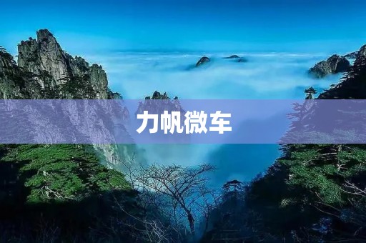 力帆微车:美好出行的首选 力帆微车:美好出行的首选