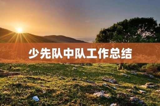 少先队中队工作总结