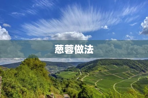葱蓉做法:教你如何制作香味浓郁的葱蓉 葱蓉做法:教你如何制作香味浓郁的葱蓉