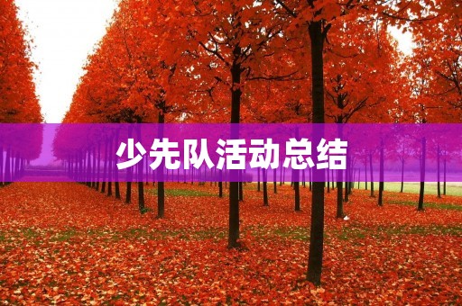 少先队活动总结:让孩子们在快乐中成长