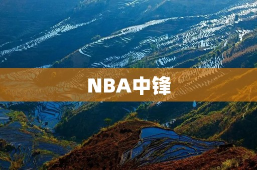 NBA中锋:探究现代球场上的重要角色 NBA中锋:探究现代球场上的重要角色