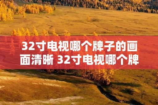 32寸电视哪个牌子的画面清晰 32寸电视哪个牌子的画面清晰些