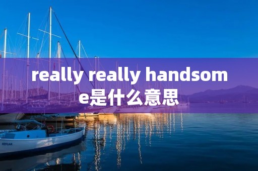 really really handsome是什么意思