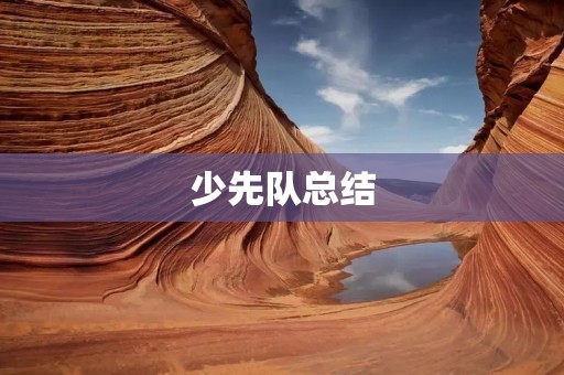 少先队总结:我所见到的少先队员