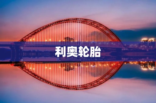 利奥轮胎:品质与安全的保障 利奥轮胎:品质与安全的保障