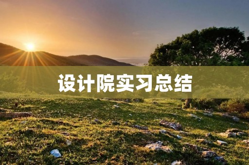 设计院实习总结:从实践中学习