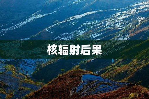 核辐射后果：对人类健康和环境的影响