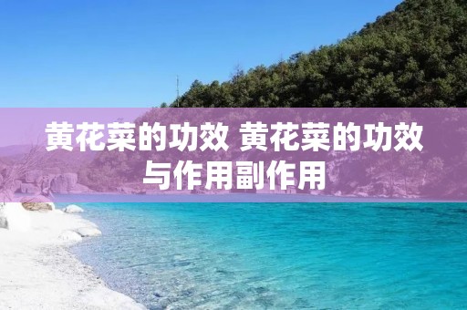 黄花菜的功效 黄花菜的功效与作用副作用 黄花菜的功效 黄花菜的功效与作用副作用