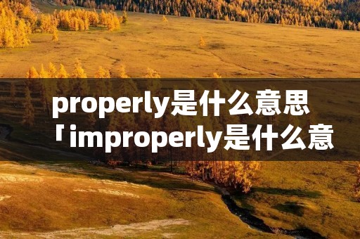 properly是什么意思「improperly是什么意思」
