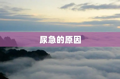 尿急的原因:详细解析尿急症状 尿急的原因:详细解析尿急症状