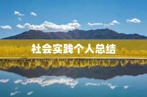 社会实践个人总结