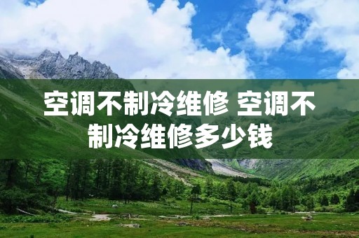 空调不制冷维修 空调不制冷维修多少钱