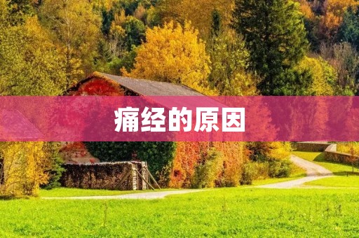 痛经的原因:探究女性月经痛背后的原因 痛经的原因:探究女性月经痛背后的原因
